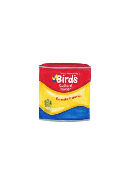 Bird's